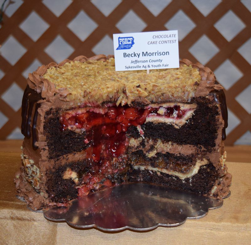 choc-cake-Anne5.jpg
